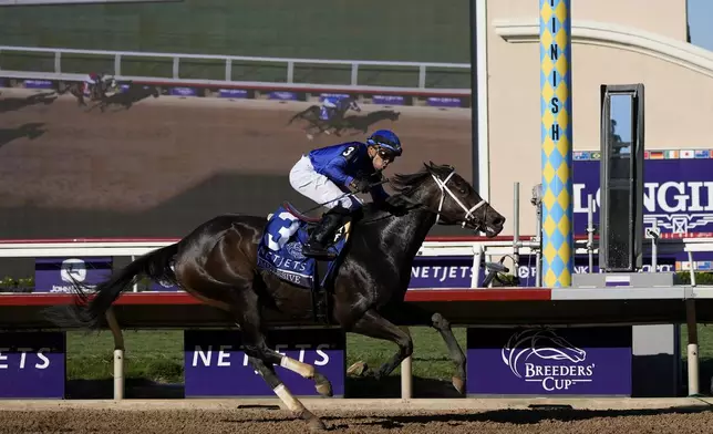 Manuel Franco rides Immersive to victory in the Breeders' Cup Juvenile Fillies horse race at Santa Anita Park in Del Mar, Calif., Friday, Nov. 1, 2024. (AP Photo/Gregory Bull)