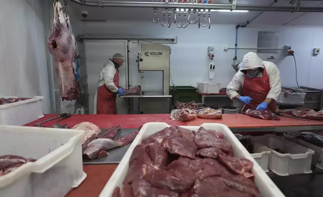 A butcher works on a shoulder of venison at Ben Rigby's venison meat facility in Mundon, England, Thursday, Oct. 31, 2024. Wild deer numbers have dramatically multiplied in recent decades and there are now more deer in England than at any other time in the last 1,000 years, according to the Forestry Commission, the government department looking after England's public woodland. (AP Photo/Alastair Grant)