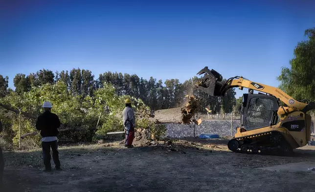 Los Angeles city workers remove the remains of a fallen tree blown over by intense winds that crushed a fence in a city park on Monday, Nov. 4, 2024. (AP Photo/Richard Vogel)