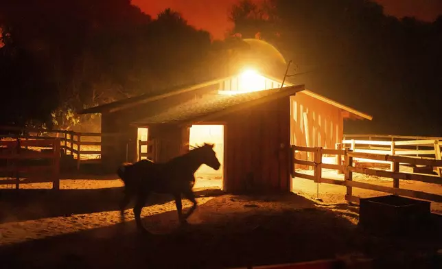 A horse stands in an enclosure as the Mountain Fire burns behind on Wednesday, Nov. 6, 2024, in Santa Paula, Calif. (AP Photo/Noah Berger)