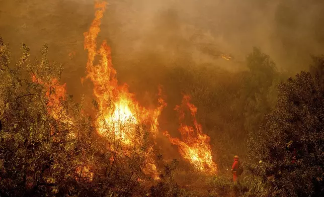 A firefighter battling the Mountain Fire watches flames from a firing operation burn off vegetation around Swanhill Farms in Moorpark, Calif., on Thursday, Nov. 7, 2024. (AP Photo/Noah Berger)