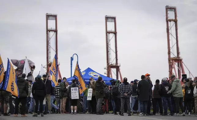 Locked out International Longshore and Warehouse Union Local 514 port workers and supporters attend a rally, in Vancouver, British Columbia, Friday, Nov. 8, 2024. (Darryl Dyck/The Canadian Press via AP)