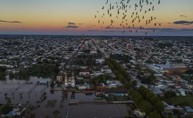 FILE - Birds fly by a flooded area in Paysandu, Uruguay, May 13, 2024. (AP Photo/Matilde Campodonico, File)