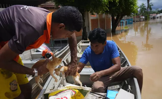 FILE - Residents rescue kittens from the roof of a flooded home in Cobija, Bolivia, Feb. 28, 2024. (AP Photo/Juan Karita, File)