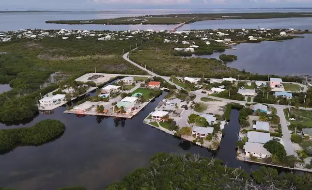 This photo shows the habitat for the Key Deer, the smallest subspecies of the white-tailed deer that have thrived in the piney and marshy wetlands of the Florida Keys, Tuesday, Oct. 15, 2024, in Big Pine Key, Fla. (AP Photo/Daniel Kozin)