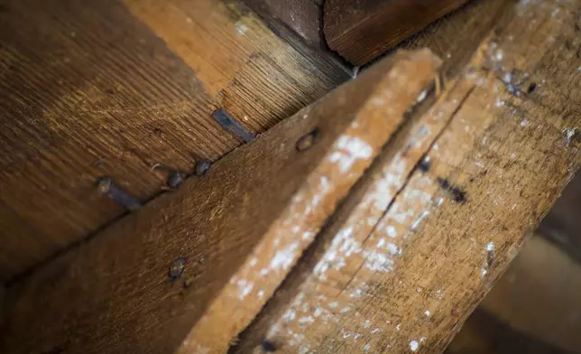 18th century nails shoved in between hand craved joints in the stairs leading up to the second floor of the Williamsburg Bray School on Wednesday, Oct 30, 2024 in Williamsburg, Va. (AP Photo/John C. Clark)