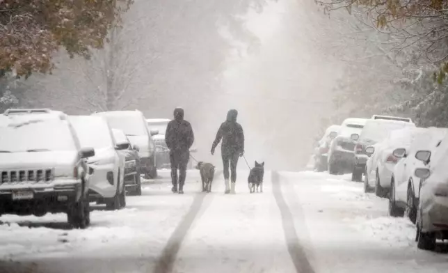 A couple walk their dogs down South St. Paul Street as the first snowstorm of the season sweeps over the intermountain West, Friday, Nov. 8, 2024, in Denver. (AP Photo/David Zalubowski)