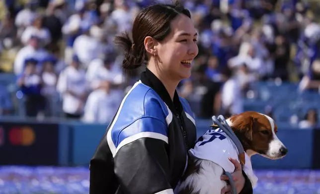 Mamiko Tanaka, wife of Los Angeles Dodgers' Shohei Ohtani, holds their dog Decoy during the baseball team's World Series championship parade and celebration at Dodger Stadium, Friday, Nov. 1, 2024, in Los Angeles. (AP Photo/Mark J. Terrill)