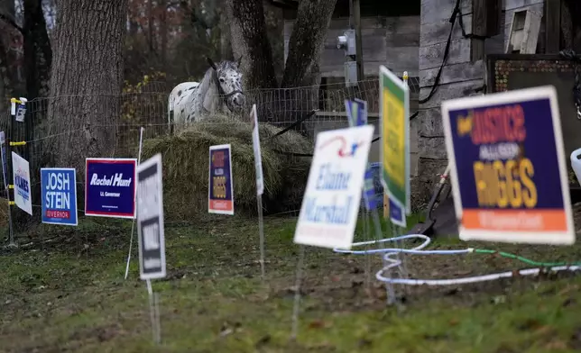 A horse looks out over campaign signs near a polling place, Tuesday, Nov. 5, 2024, in Black Mountain, N.C. (AP Photo/George Walker IV)