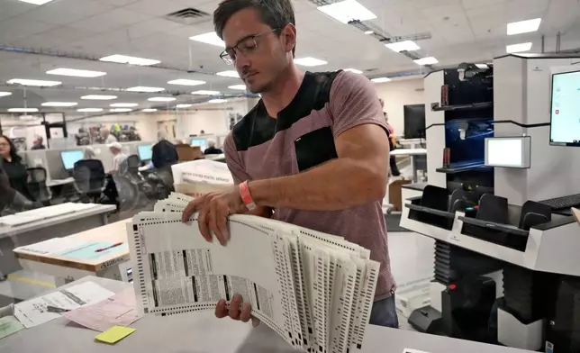 An elections official sorts counted mail-in ballots on the first day of tabulation, Wednesday, Oct. 23, 2024, at the Maricopa County Recorder's Office in Phoenix. (AP Photo/Matt York)