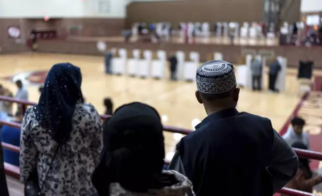 Voters wait in line to cast their ballots at the Hamtramck High School polling site on Election Day, Tuesday, Nov. 5, 2024, in Hamtramck, Mich. (AP Photo/David Goldman)