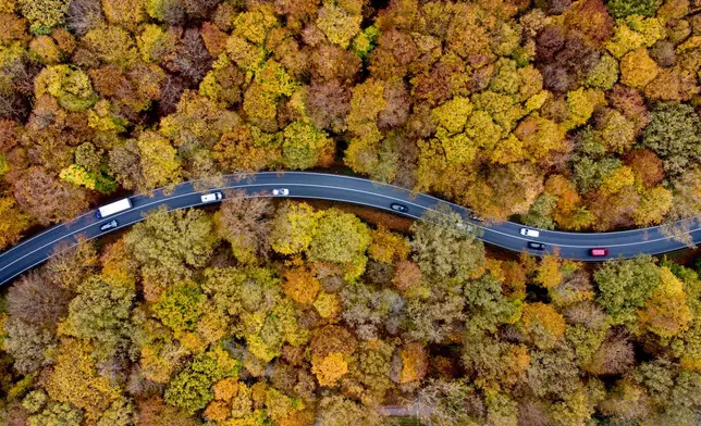 Traffic rolls through a colorful forest in the Taunus region in Usingen near Frankfurt, Germany, Friday, Nov. 1, 2024. (AP Photo/Michael Probst)