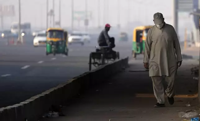 A man wears a face mask as he walks by the side of a road in the early morning smog, the day after the Hindu festival Diwali, in New Delhi, India, Friday, Nov. 1, 2024. (AP Photo/Manish Swarup)