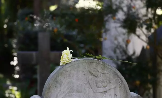 A chrysanthemum is placed on a tombstone during All Saints Day, in Rome, Friday, Nov. 1, 2024. (Cecilia Fabiano/LaPresse via AP)