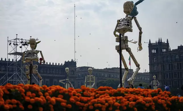 Calaveras tower over Day of the Dead altars in the Zocalo, the main plaza in Mexico City, Thursday, Oct. 31, 2024. (AP Photo/Moises Castillo)