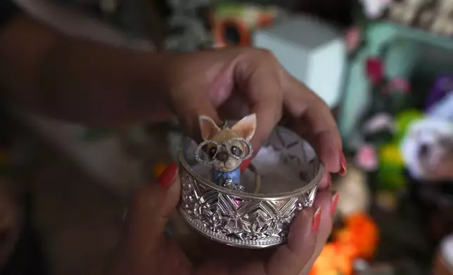 Meztli Lizaola sets a figurine depicting her pet chihuahua Taco into a silver container to be placed on a Day of the Dead altar honoring Taco’s memory, in her home in Mexico City, Wednesday, Oct. 30, 2024. (AP Photo/Fernando Llano)