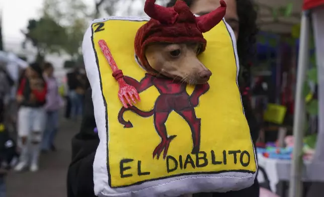 An owner shows off her pet dressed as a Lotería game card during a pet costume contest as part of the Day of the Dead festivities, in Mexico City, Sunday, Oct. 27, 2024. (AP Photo/Fabiola Sanchez)