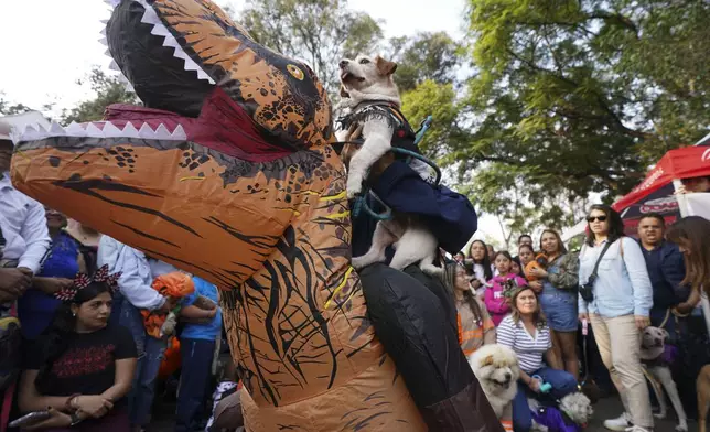 A pet owner holds her dog while sitting on an inflatable dinosaur during a pet costume contest as part of the Day of the Dead festivities in Mexico City, Sunday, Oct. 27, 2024. (AP Photo/Fabiola Sanchez)