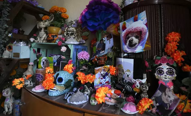 A Day of the Dead altar celebrating the memory of Taco, Meztli Lizaola's pet Chihuahua, sits on a wooden piece of furniture, installed in a corner of her living room in Mexico City, Wednesday, Oct. 30, 2024. (AP Photo/Fernando Llano)