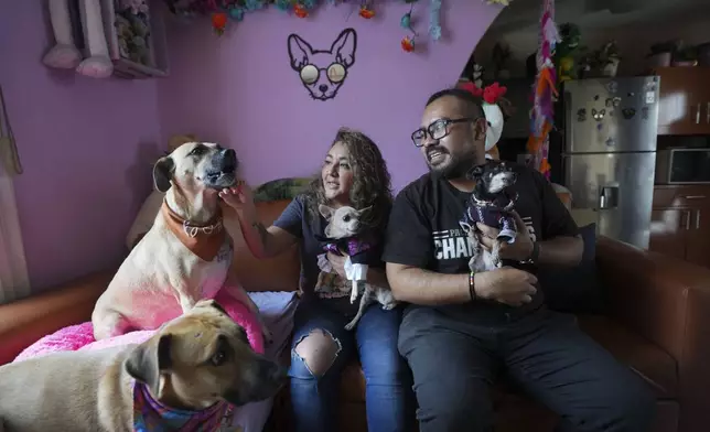 Meztli Lizaola and Víctor Sorchaga pose for a photo with their pets during an interview in their home in Mexico City, Wednesday, Oct. 30, 2024. (AP Photo/Fernando Llano)