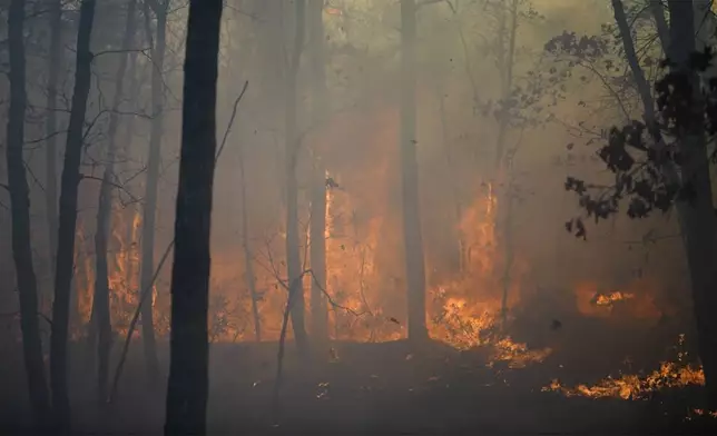 This photo provided by New Jersey Department of Environmental Protection smoke and fire fills the air from a forest fire on Wednesday, Nov. 6, 2024 in Evesham, N.J. (New Jersey Department of Environmental Protection via AP)