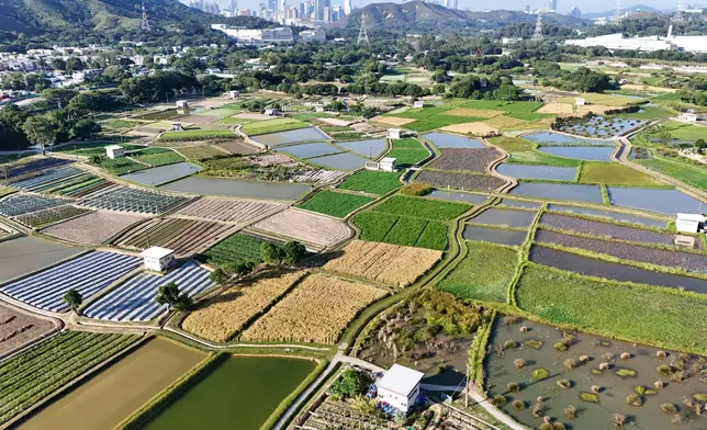 Opening ceremony of Long Valley Nature Park held today  Source: HKSAR Government Press Releases