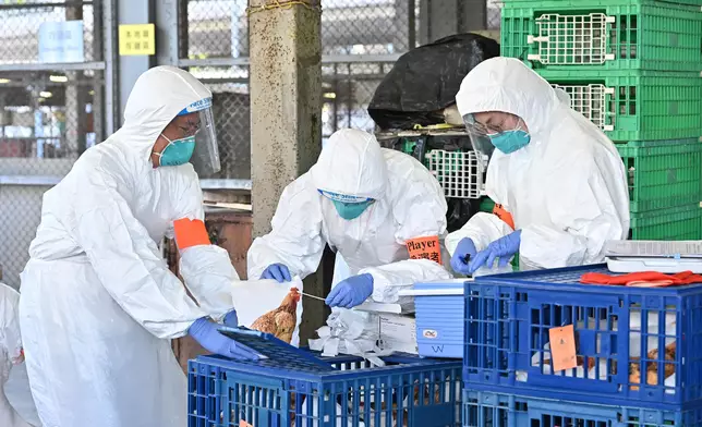 Exercise "Amazonite" enhances Government's response to human case of avian influenza  Source: HKSAR Government Press Releases