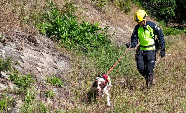 Interdepartmental vegetation fire and mountain rescue exercise 2024 held  Source: HKSAR Government Press Releases