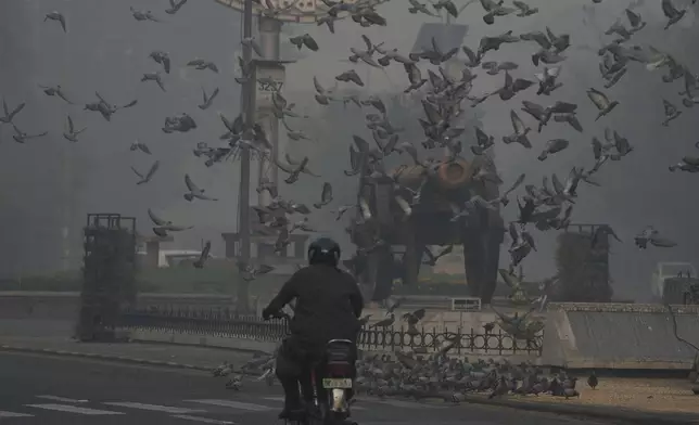 Pigeons fly in heavy smog in Lahore, Pakistan, Sunday, Nov. 3, 2024. (AP Photo/K.M. Chaudary)