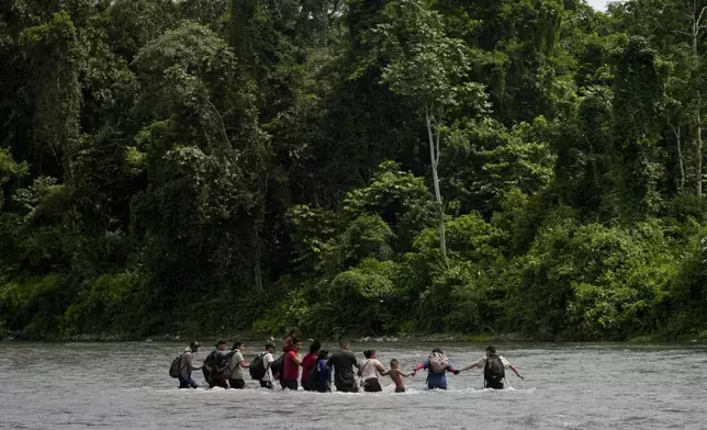 Migrants wade hand in hand as they cross the Tuquesa River, near Bajo Chiquito, Panama, after walking across the Darien Gap from Colombia on their way north to the United States, Saturday, Nov. 9, 2024. (AP Photo/Matias Delacroix)