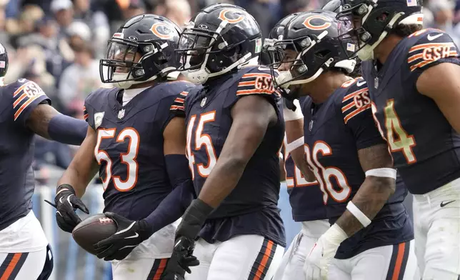 Chicago Bears linebacker T.J. Edwards (53) celebrates his interception of a New England Patriots quarterback Drake Maye with teammates during the first half of an NFL football game Sunday, Nov. 10, 2024, in Chicago. (AP Photo/Nam Y. Huh)