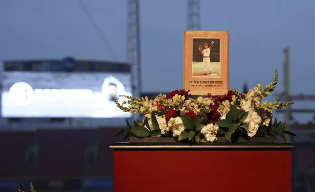 Baseball fans line up to pay their respects to Cincinnati Reds legend Pete Rose during a public visitation, Sunday, Nov. 10, 2024, at Great American Ball Park in Cincinnati. (AP Photo/Kareem Elgazzar)