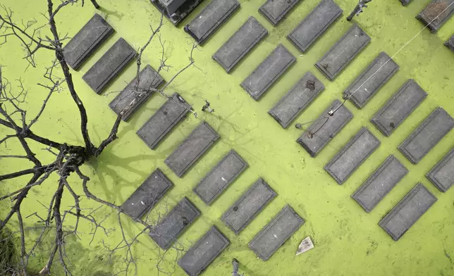 Tombs are submerged in mossy waters at flood-prone Holy Spirit Memorial Park in Masantol, Pampanga province, Philippines after heavy rains from recent tropical storm Trami caused water to become higher than usual, ahead of All Saints Day, Thursday Oct. 31, 2024. (AP Photo/Aaron Favila)