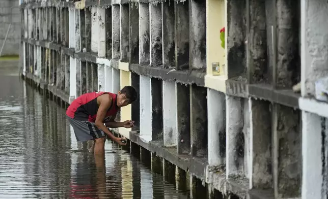 A caretaker paints tombs at flood-prone Holy Spirit Memorial Park in Masantol, Pampanga province, Philippines after heavy rains from recent tropical storm Trami caused water levels to become higher than usual ahead of All Saints Day, Thursday Oct. 31, 2024. (AP Photo/Aaron Favila)