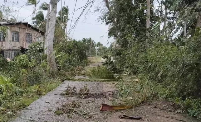 In this photo provided by the Local Government Unit (LGU) of Lal-lo, toppled trees caused by Typhoon Yinxing block a road in Lal-lo, Cagayan province, northern Philippines Friday, Nov. 8, 2024. (LGU Lal-lo via AP)