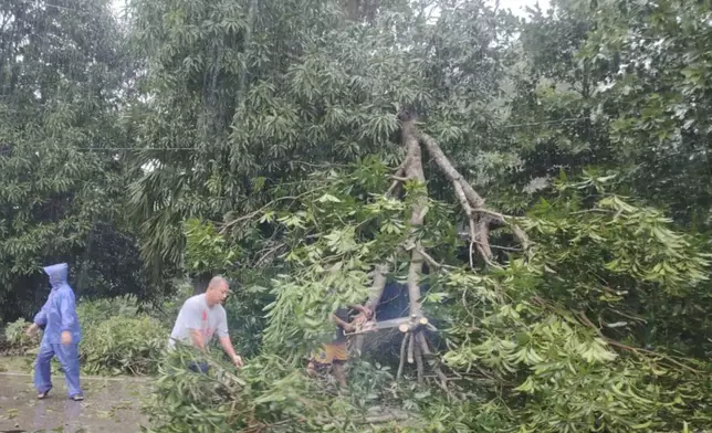 In this photo provided by the Local Government Unit (LGU) of Lal-lo, workers clear a tree that fell due to strong winds from Typhoon Yinxing nin Lal-lo, Cagayan province, northern Philippines Thursday, Nov. 7, 2024. (LGU Lal-lo via AP)