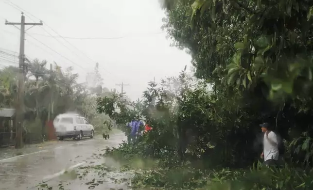 In this handout provided by the Local Government Unit (LGU) of Lal-Lo, workers clear a road from a tree that fell due to strong winds from Typhoon Yinxing, locally called Marce, in Lal-lo, Cagayan province, northern Philippines on Thursday Nov. 7, 2024. (LGU Lal-lo via AP)