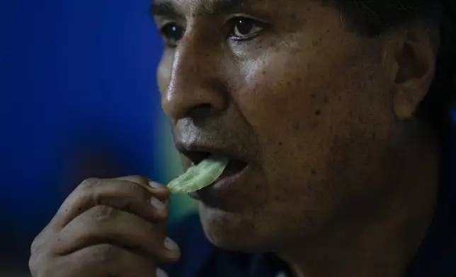 Bolivia's former President Evo Morales chews coca in Lauca N, Chapare region, Bolivia, Sunday, Nov. 3, 2024, amid an ongoing political conflict with the government of President Luis Arce. (AP Photo/Juan Karita)