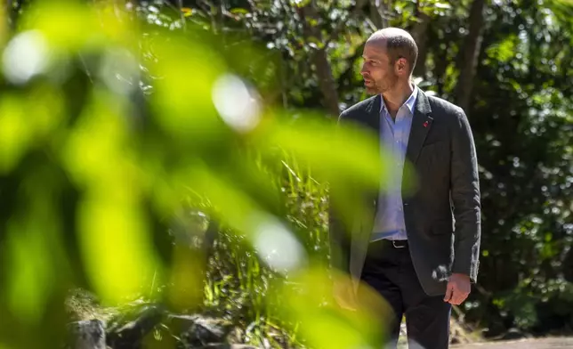 Britain's Prince William walks through the Kirstenbosch Botanical Gardens in Cape Town, South Africa, Wednesday, Nov. 6, 2024. (AP Photo/Jerome Delay, Pool)