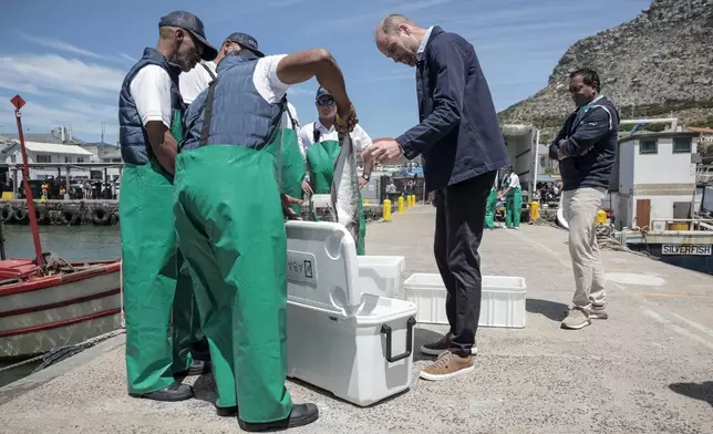 Britain's Prince William, the Prince of Wales is handed a fish as he speaks to local fisherman, at Kalk Bay Harbour, near Cape Town, Thursday, Nov. 7, 2024. (Gianluigi Guercia/Pool Photo via AP)