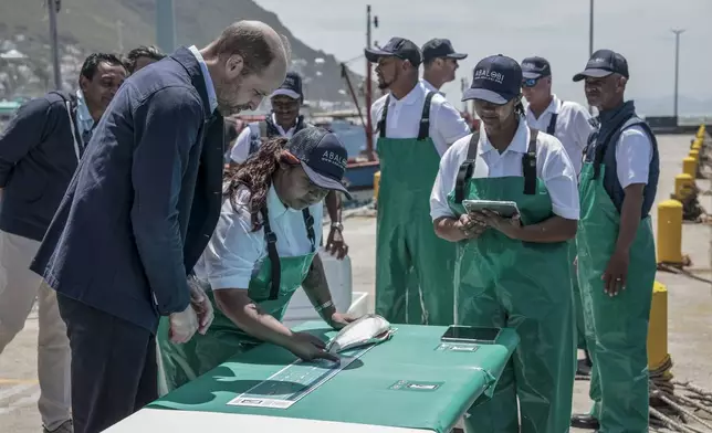 Britain's Prince William, the Prince of Wales, is shown 2023 Earthshot finalist ABALOBI's game-changing technology to register and log catches, to local fisherman, at Kalk Bay Harbour, near Cape Town, Thursday, Nov. 7, 2024. (Gianluigi Guercia/Pool Photo via AP)