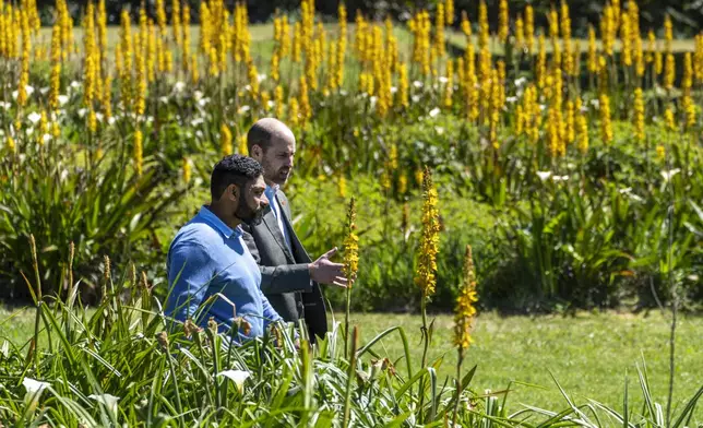 Britain's Prince William, accompanied by Garden Director Werner Voigt, walks through the Kirstenbosch Botanical Gardens in Cape Town, South Africa, Wednesday, Nov. 6, 2024. (AP Photo/Jerome Delay, Pool)