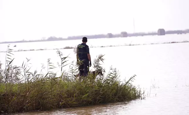 A civil guard and his dog look out onto a lagoon in their search for bodies in el Saler on the outskirts of Valencia, Spain, Wednesday, Nov. 6, 2024 after floods. (AP Photo/Alberto Saiz)