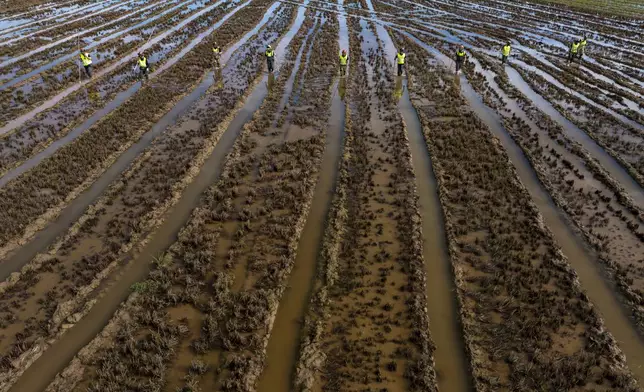 Members of the V battalion of the military emergency unit, UME, search the area for bodies washed away by the floods in the outskirts of Valencia, Spain, Friday, Nov. 8, 2024. (AP Photo/Emilio Morenatti)