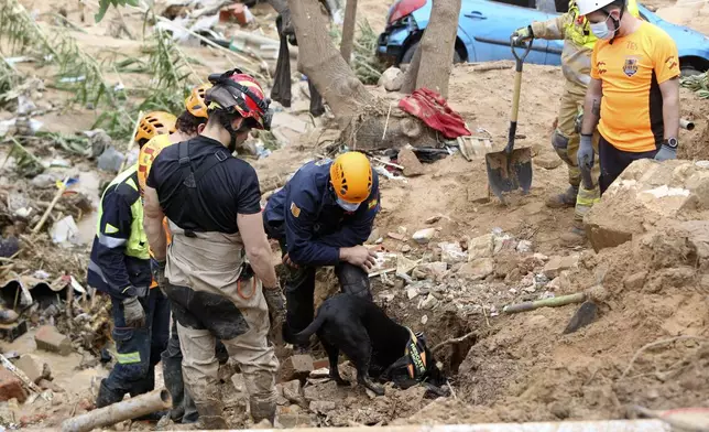 A rescue dog looks for victims after floods in Paiporta near Valencia, Spain, Sunday, Nov. 3, 2024. (AP Photo/Hugo Torres)