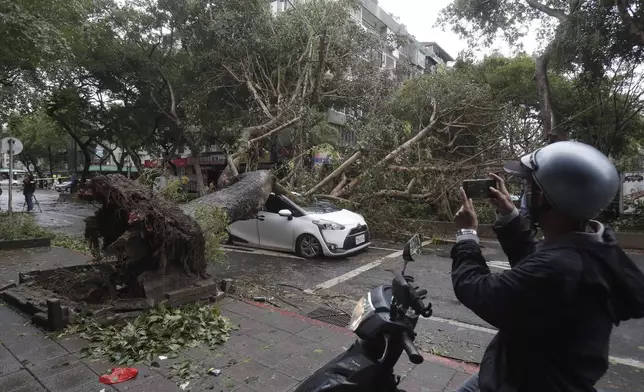 A man takes a photo of a car crushed by a fallen tree destroyed by the wind of Typhoon Kong-rey in Taipei, Taiwan, Friday, Nov. 1, 2024. (AP Photo/Chiang Ying-ying)