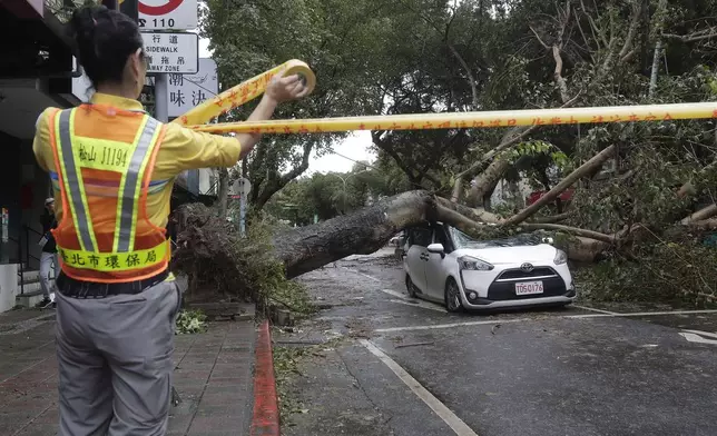 A sanitation worker of Taipei city government puts up a cordon at an area destroyed by the wind from Typhoon Kong-rey in Taipei, Taiwan, Friday, Nov. 1, 2024. (AP Photo/Chiang Ying-ying)