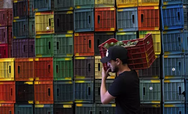 FILE - A worker carries a crate of avocados at a plant in Uruapan, Michoacan state, Mexico, Feb. 9, 2024. (AP Photo/Armando Solis, File)