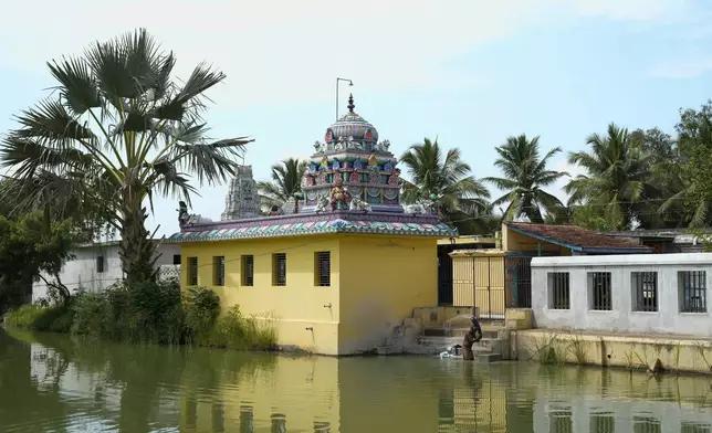 A villager washes clothes at a pond adjacent to Sri Dharmasastha Hindu temple in Thulasendrapuram, the ancestral village of Democratic presidential nominee Vice President Kamala Harris, in Tamil Nadu state, India, Monday, Nov. 4, 2024. (AP Photo/Aijaz Rahi)