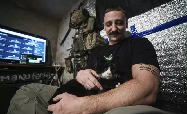 Illya Zelinskiy, Ukrainian commander of a unit Bugskiy Gard pets a cat on the front line, in Kherson region, Ukraine, Saturday, Nov. 2, 2024. (AP Photo/Marko Ivkov)